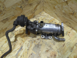   EGR()  2,0    Renault Trafic, 2006-2014/