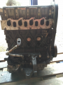  F9Q  1,9    Nissan Primastar, 2001-2006/